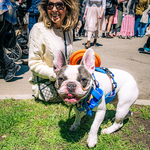 Washington Park, Tulipfest | Albany, NY - May 2025